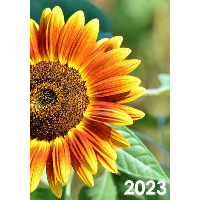 Calendar perete flori 2023