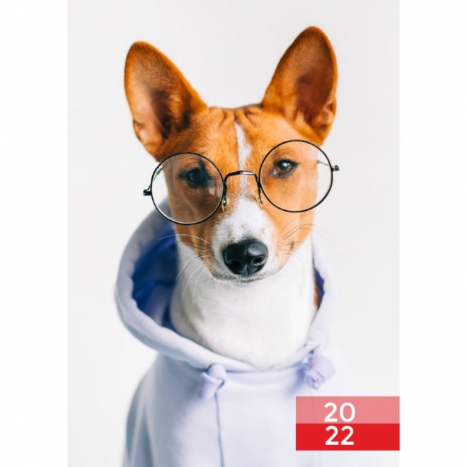 Calendar de perete - Caini cu ochelari 2024