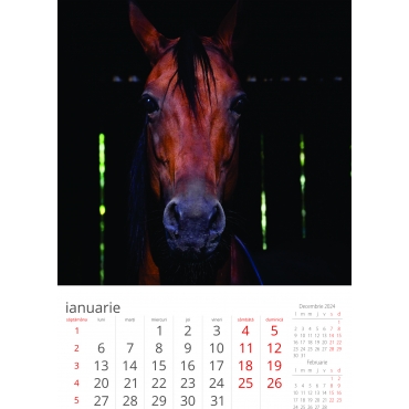 Calendar perete cai 2025