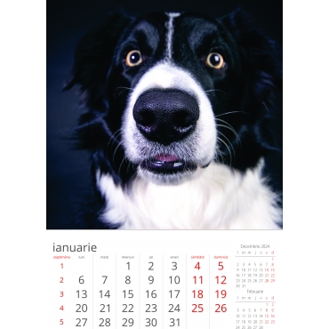 Calendar de perete caini 2025