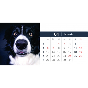 Calendar de birou cu caini 2025