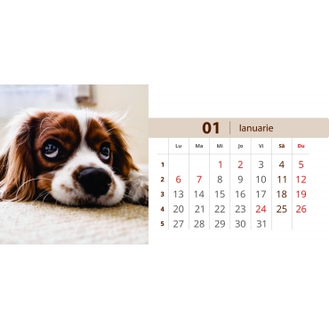 Calendar de birou cu caini si pisici 2025