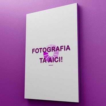 Tablou canvas personalizat cu 1 fotografie 30x60 cm