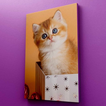 Tablou canvas personalizat cu 1 fotografie 30x60 cm