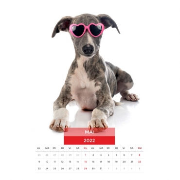 Calendar de perete - Caini cu ochelari 2026
