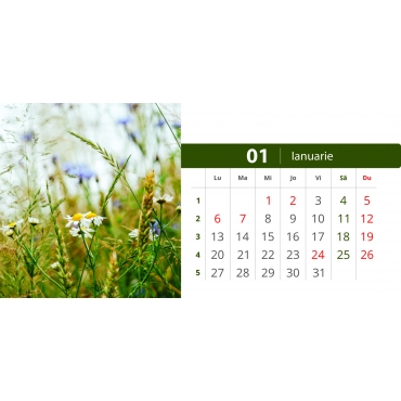 Calendar de birou cu flori de camp 2025