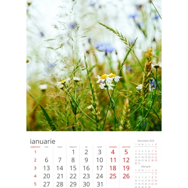 Calendar de perete cu imagini flori de camp 2025