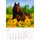 Calendar perete cai 2025