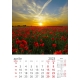 Calendar de perete Peisaje Anotimpuri 2024