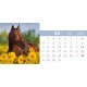 Calendar de birou cu cai 2024
