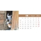 Calendar de birou cu pisici 2023