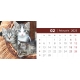 Calendar de birou cu pisici 2024
