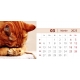 Calendar de birou cu pisici 2024