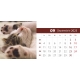 Calendar de birou cu pisici 2023