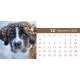 Calendar de birou cu caini 2023