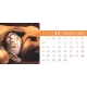 Calendar de birou cu caini si pisici 2024