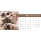 Calendar de birou cu caini si pisici 2023