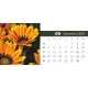 Calendar de birou cu flori 2023