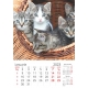 Calendar perete caini si pisici 2024