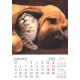 Calendar perete caini si pisici 2024