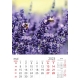 Calendar perete flori 2024