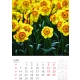 Calendar perete flori 2025