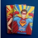 Agenda personalizata - Super Erou