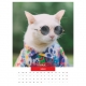Calendar de perete pisici cu ochelari 2022