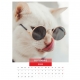 Calendar de perete pisici cu ochelari 2023