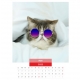 Calendar de perete pisici cu ochelari 2023