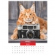 Calendar de perete pisici cu ochelari 2023