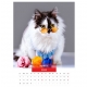 Calendar de perete pisici cu ochelari 2023