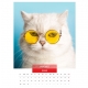 Calendar de perete pisici cu ochelari 2024