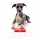Calendar de perete - Caini cu ochelari 2023