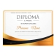 Diploma de apreciere - D008