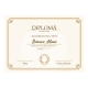 Diploma absolvire - D012
