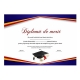 Diploma de merit - D016