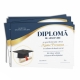 Diploma de absolvire - D027