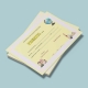 Diploma scolara - D027