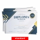 Diploma absolvire - D046