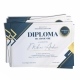 Diploma absolvire - D046