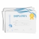 Diploma scolara chitara - D048