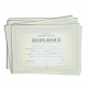 Diploma scolara - D054