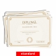 Diploma absolvire - D059